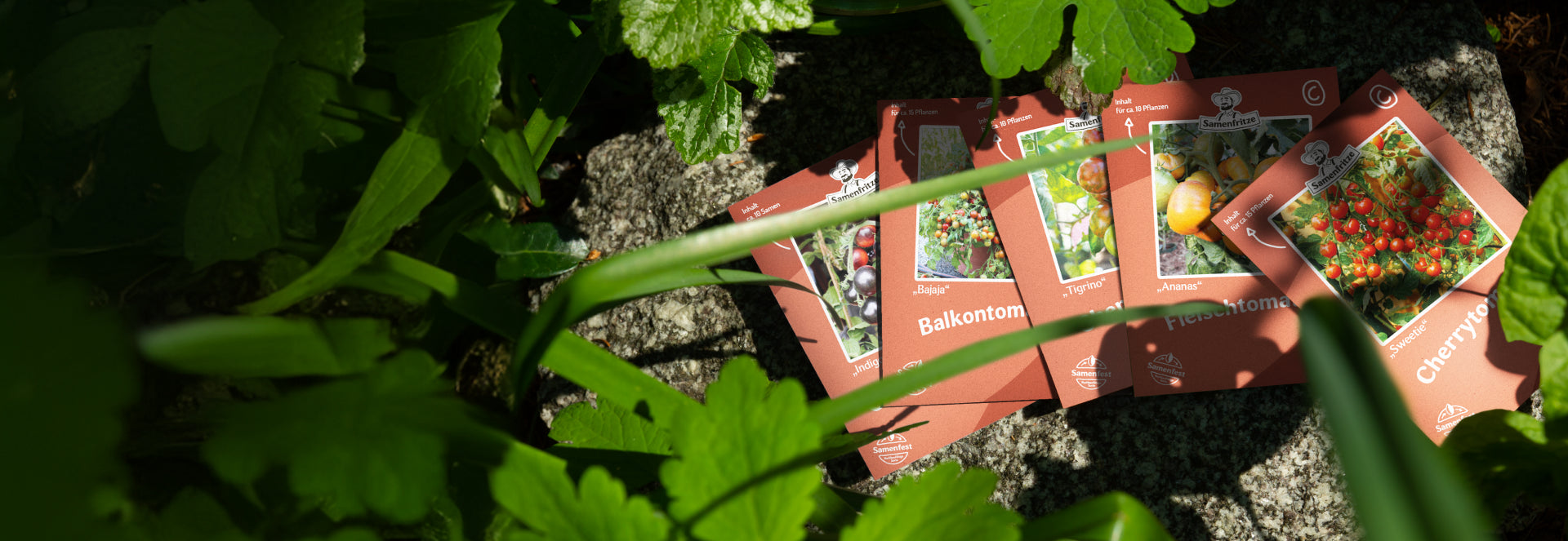 Samenfritze Saatgut Onlineshop
– samenfritze