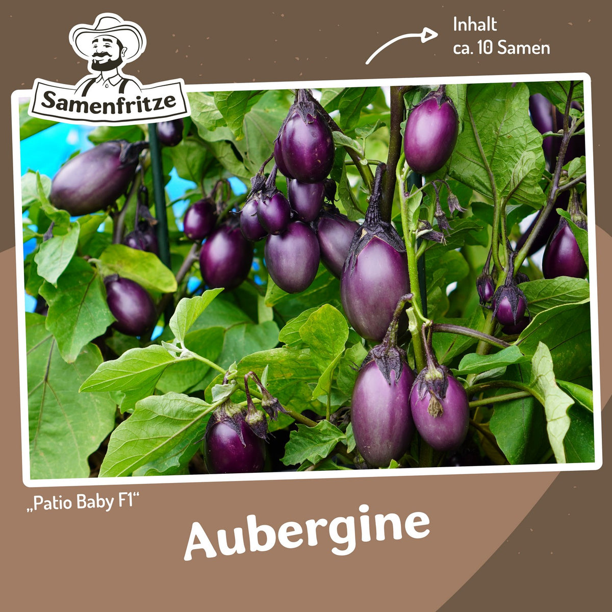 Balkongarten-Set inkl. 54er QuickPot Anzuchtplatte & Untersetzer