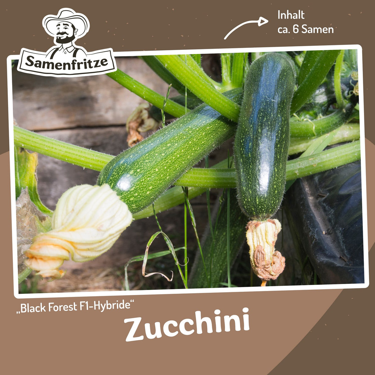 Balkongarten-Set inkl. 54er QuickPot Anzuchtplatte & Untersetzer