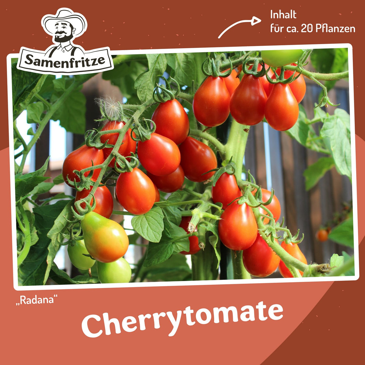 Freilandtomaten-Set