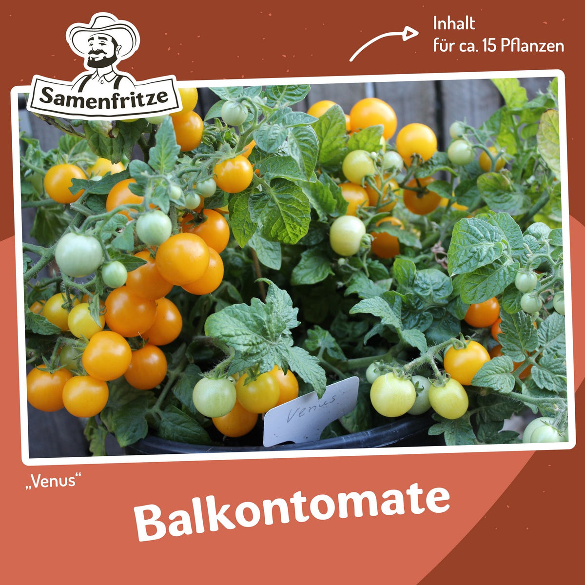Balkongarten-Set inkl. 54er QuickPot Anzuchtplatte & Untersetzer
