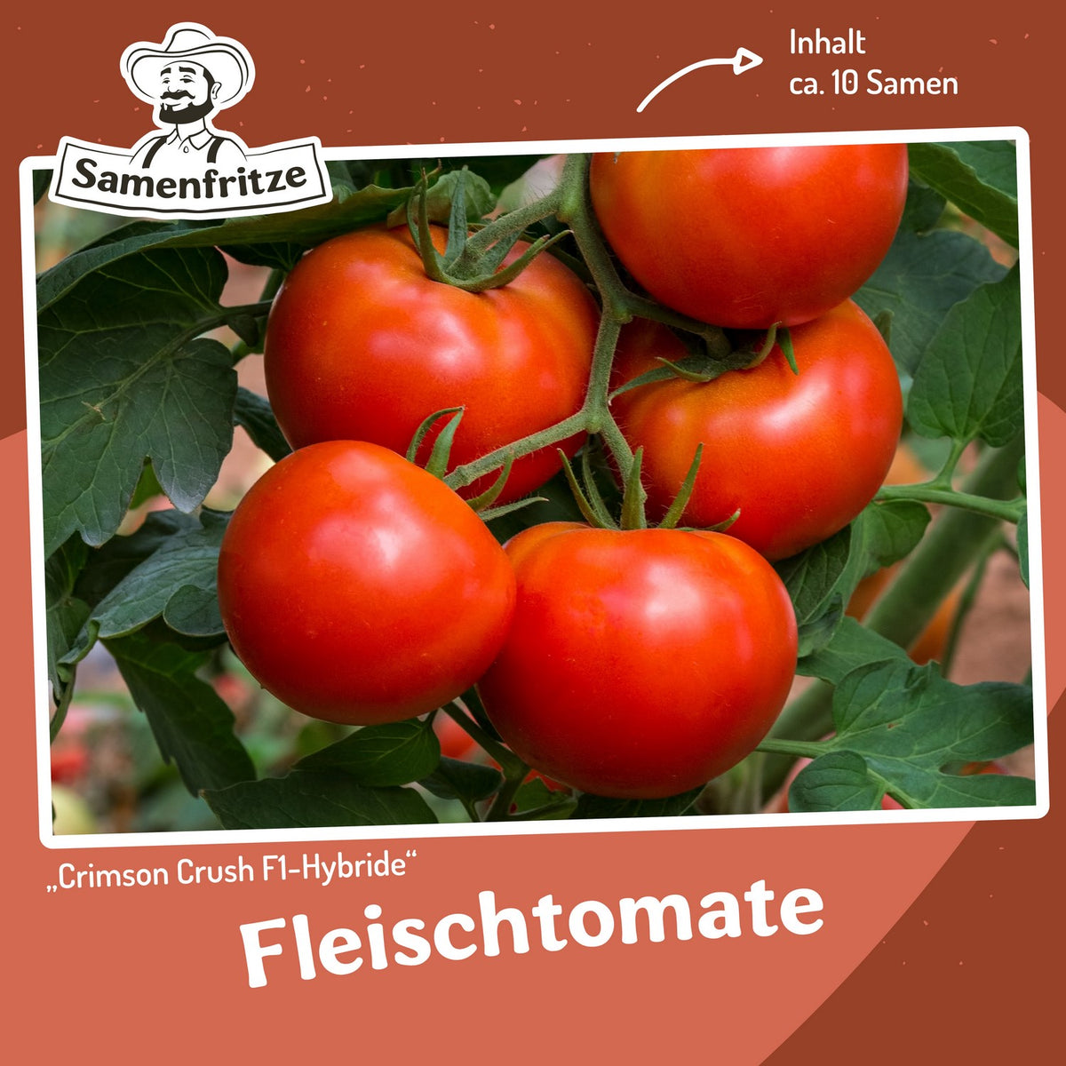 Freilandtomaten-Set