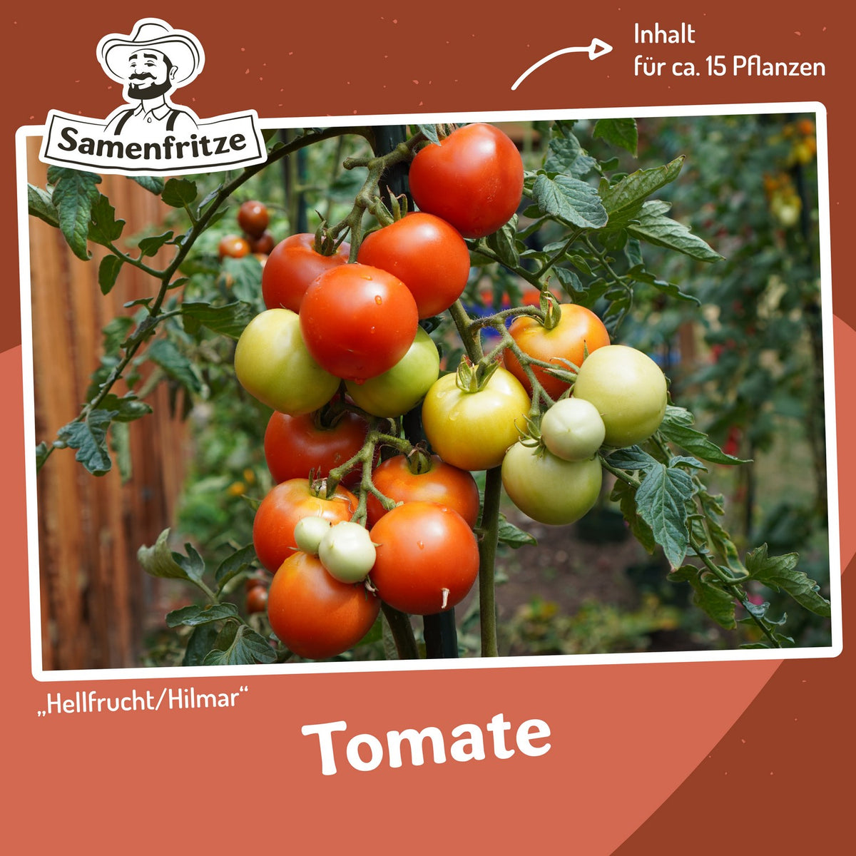 Freilandtomaten-Set