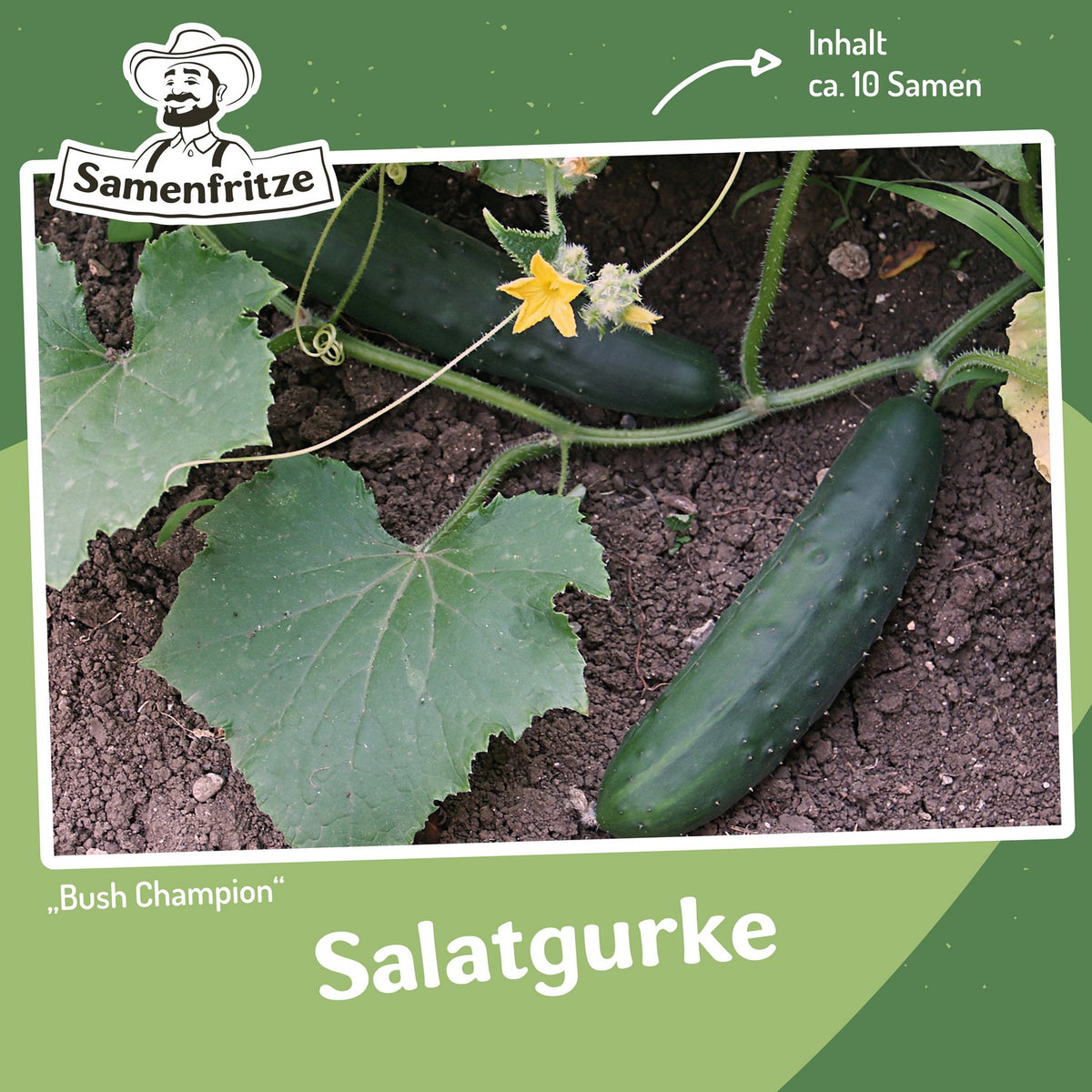 Balkongarten-Set