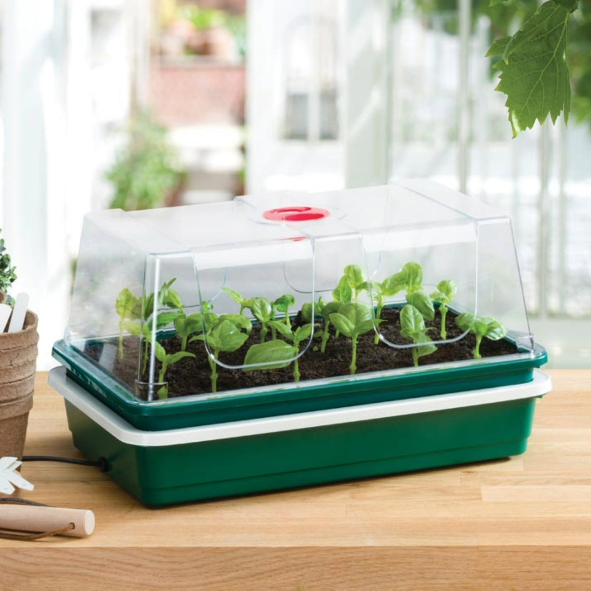 Elektrisches Zimmergewächshaus „One Top“ – 8-Watt-Heizplatte, kompaktes Design für Fensterbänke