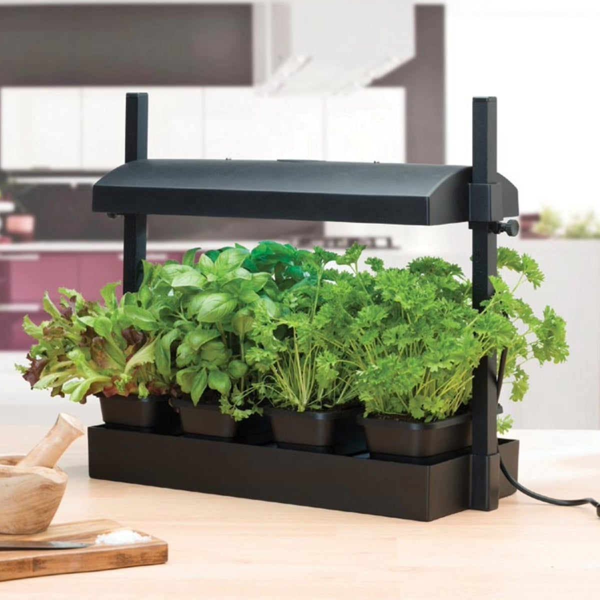 Micro Küchengarten LED Schwarz – 8-Watt LED Vollspektrum-Licht, Selbstbewässerungssystem