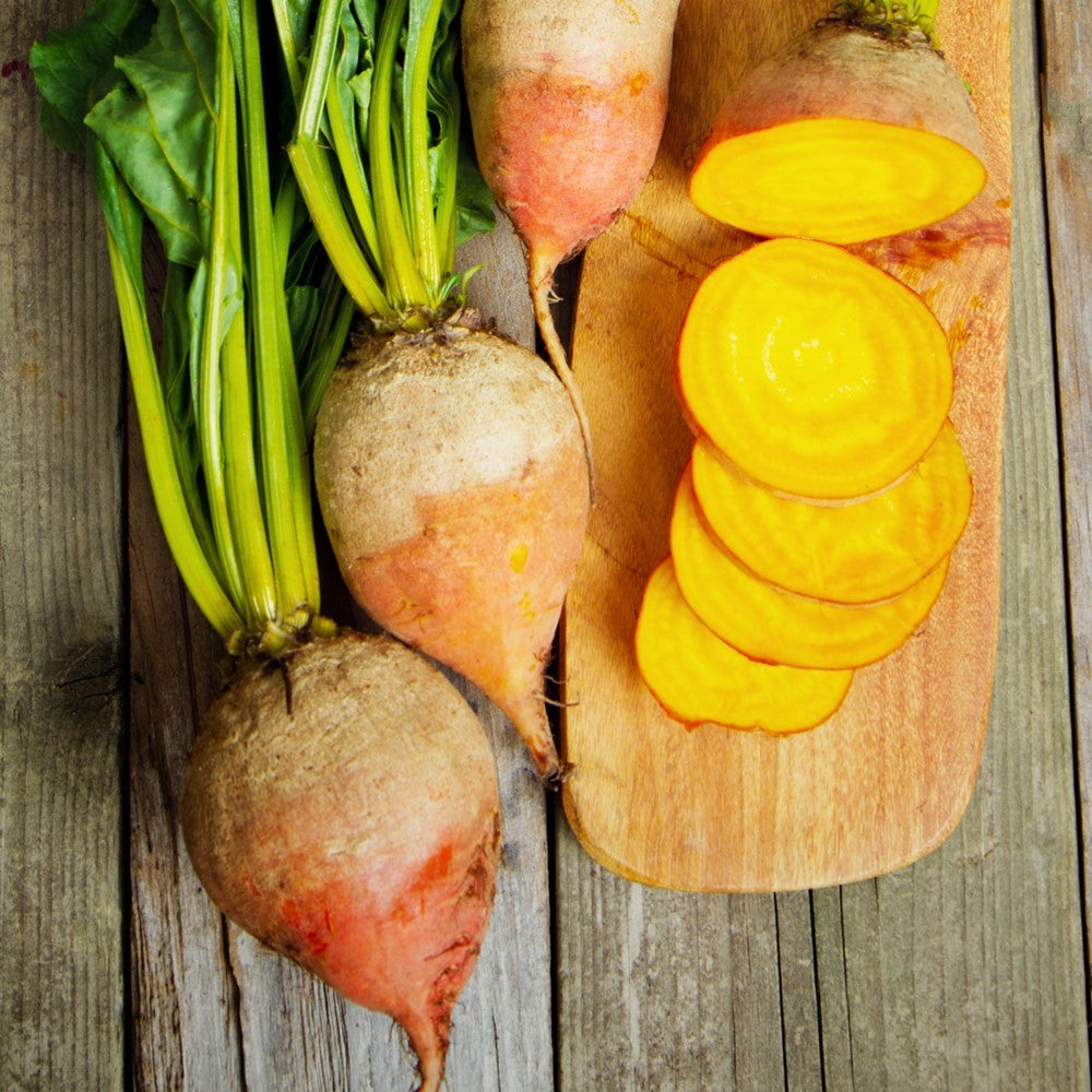 Rote Beete Burpees Golden Samen