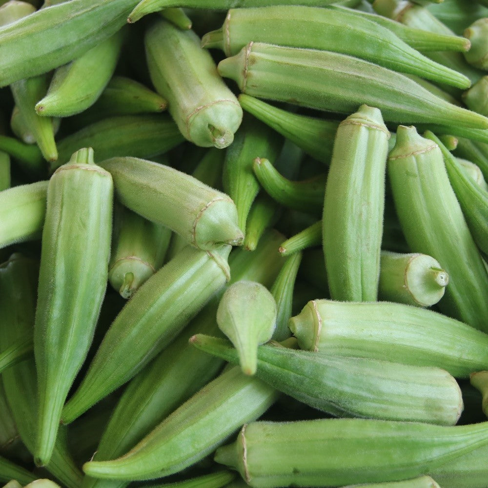 MHD 06/26 Okra Super Bhindi F1 Samen
