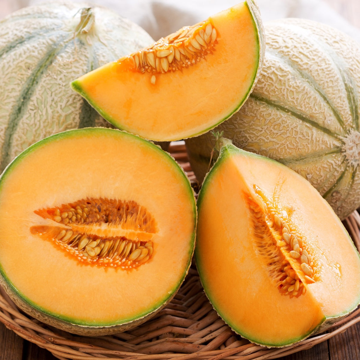 Zuckermelone Cantaloup Charentais Samen