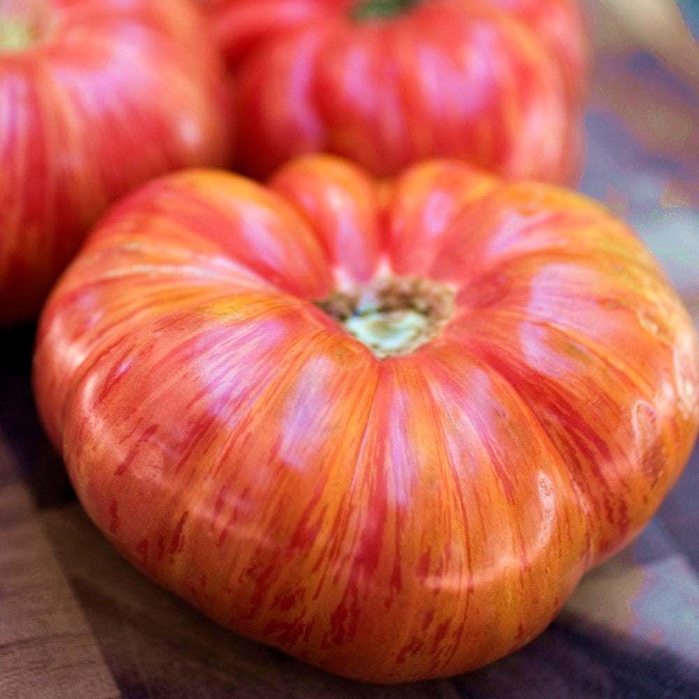 Vintage Wine Bio-Tomatensamen