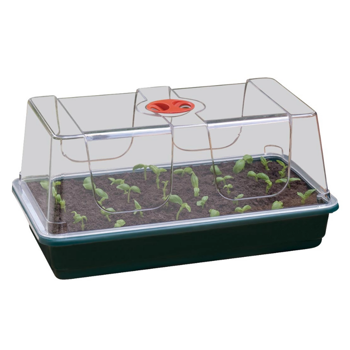 Zimmergewächshaus 38 x 23 x 18 cm – stabiles Mini-Gewächshaus mit grüner Schale