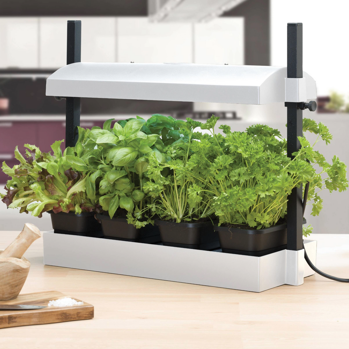 Micro Küchengarten LED Weiß – 8-Watt LED Vollspektrum-Licht, Selbstbewässerungssystem