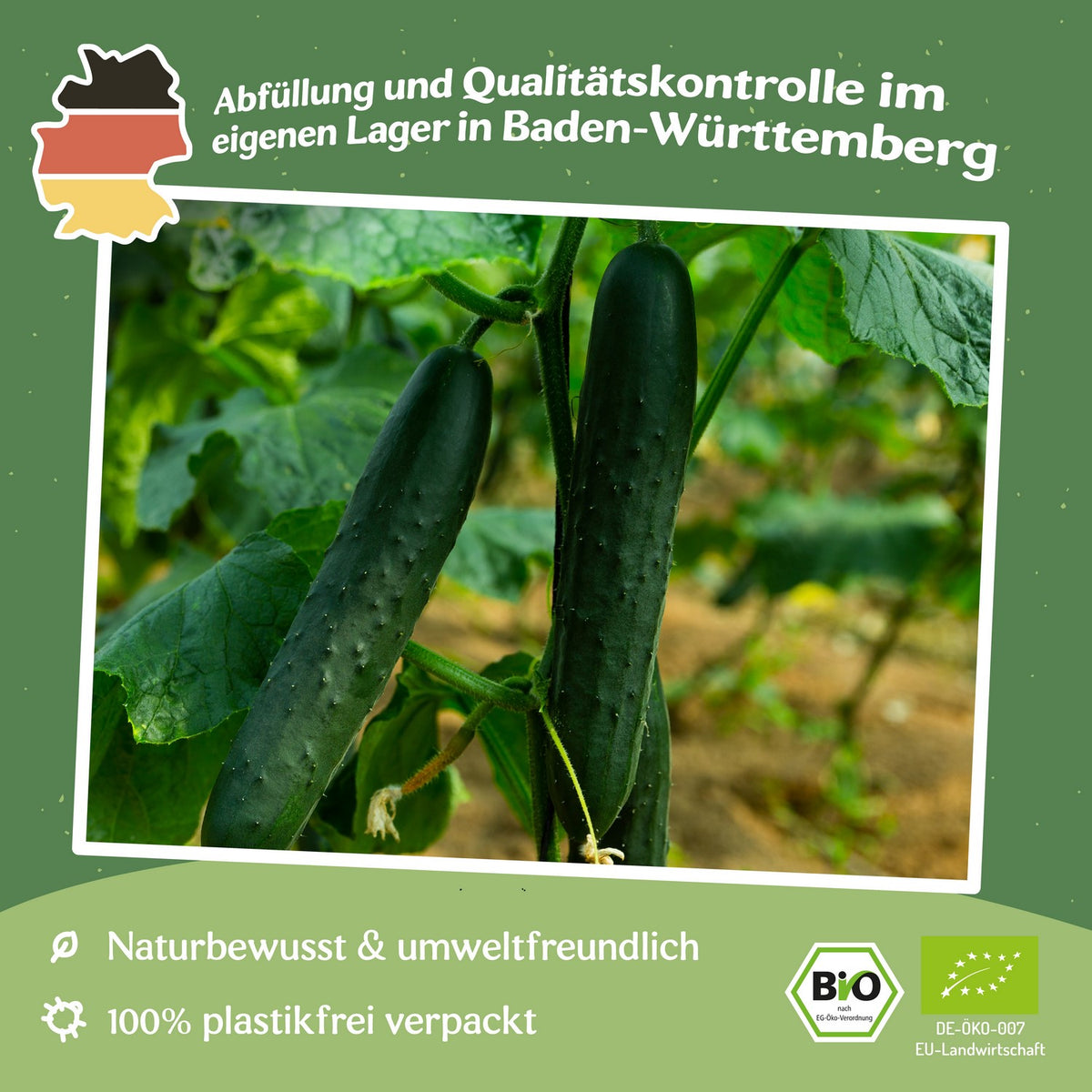 Bio-Salatgurke Marketmore Samen