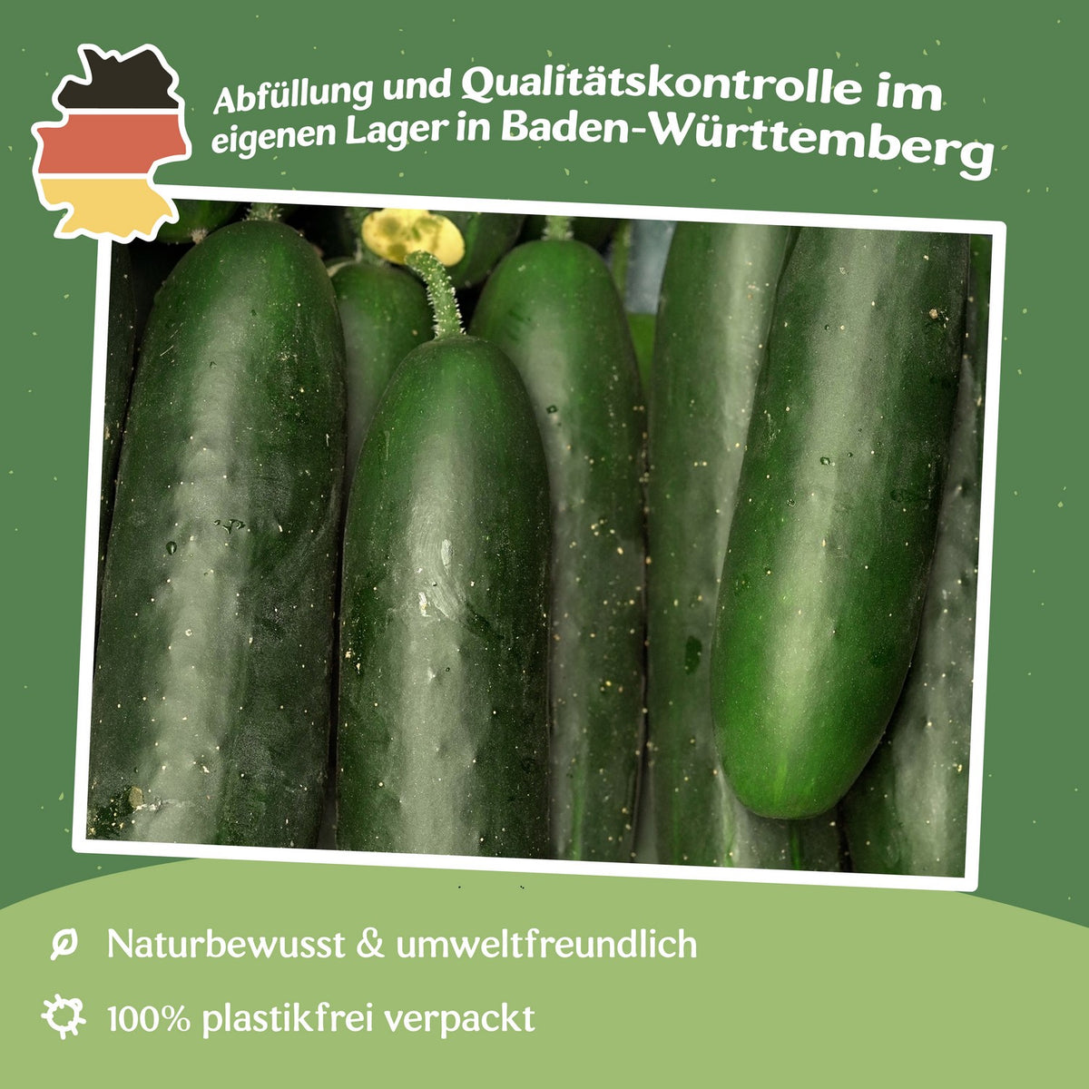 Salatgurke Sonja Samen