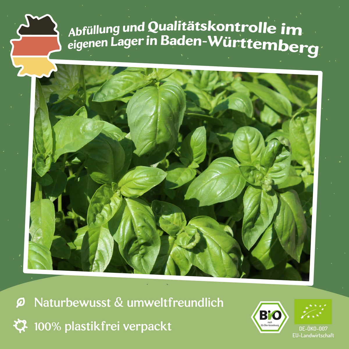 Bio-Basilikum Dark Opal Samen
