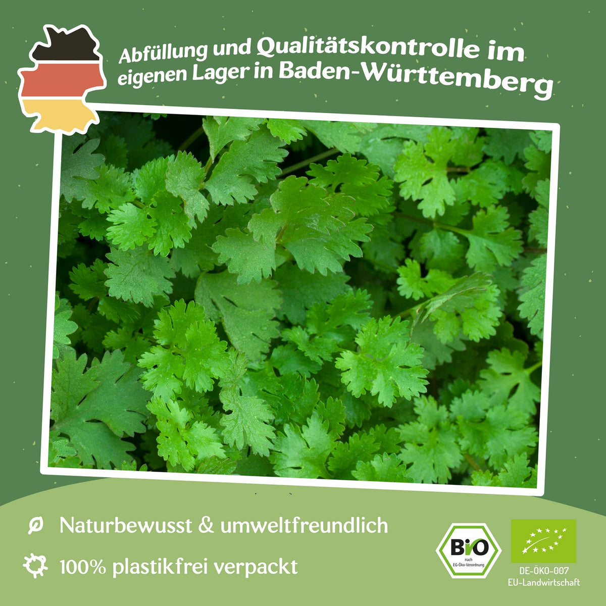 MHD 06/26 Bio-Koriander Samen