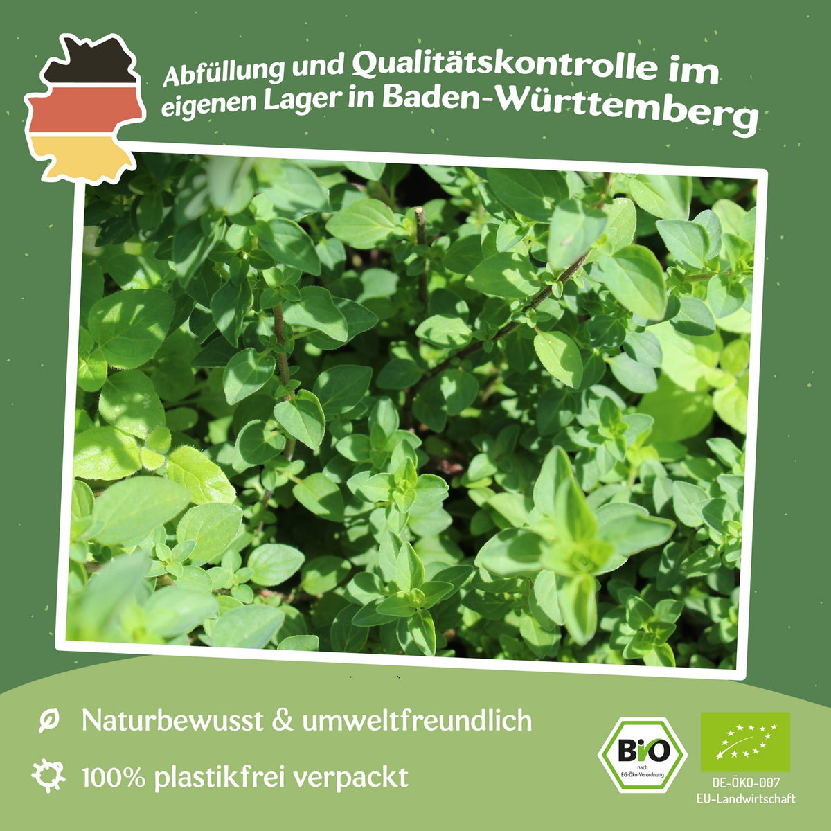 MHD 06/26 Bio-Oregano Samen