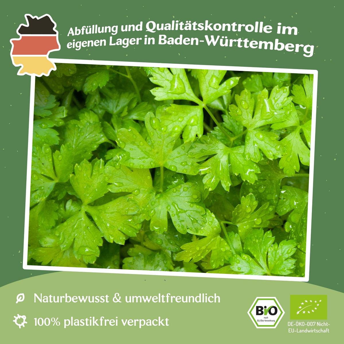 MHD 06/25 Bio-Petersilie Regular Cut 3 Samen, Petroselinum crispum