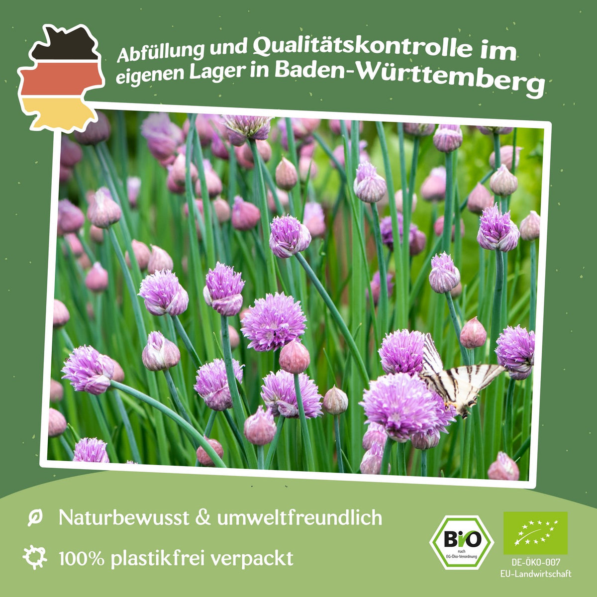 Bio-Schnittlauch Samen