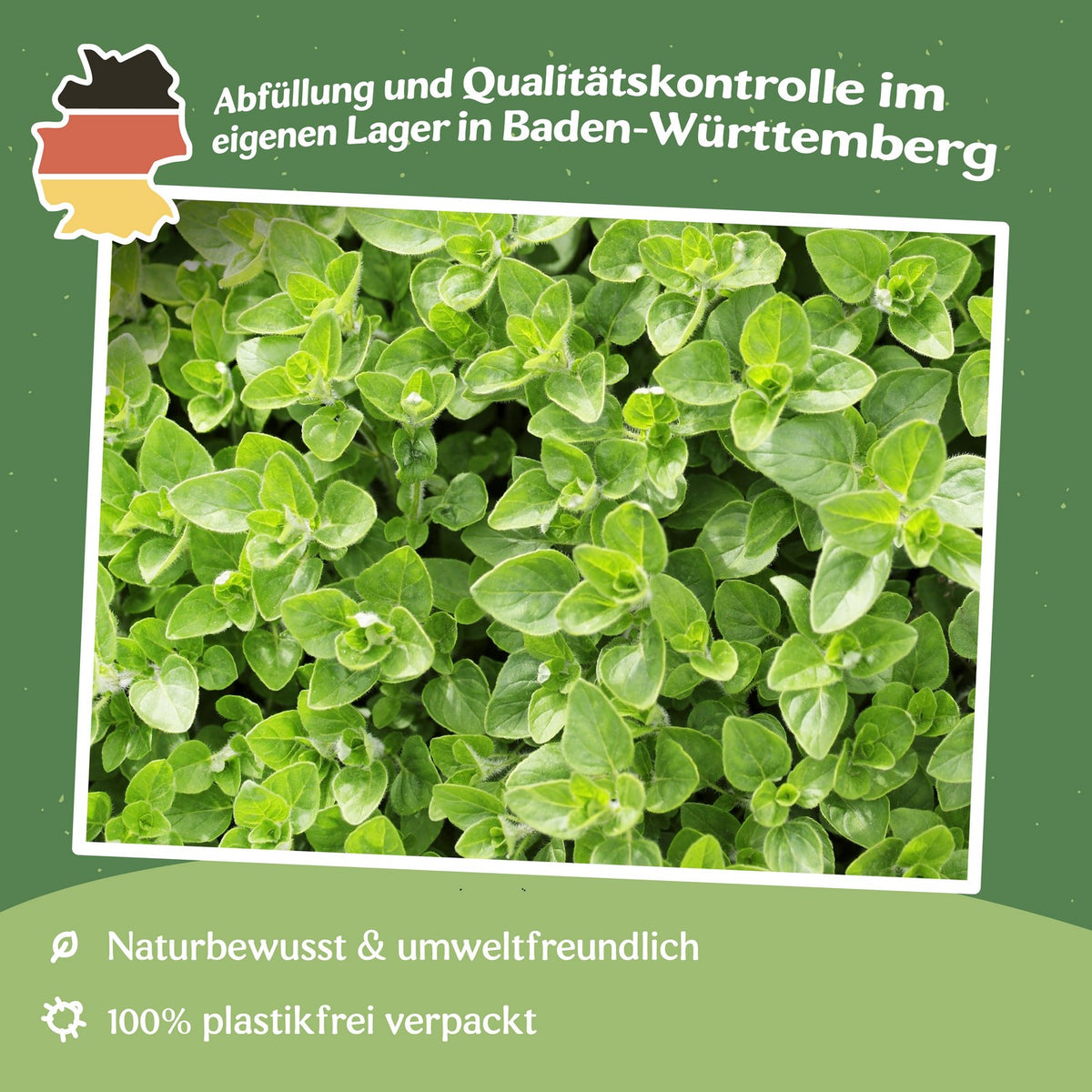 MHD 06/26 Majoran Samen, Origanum marjorana