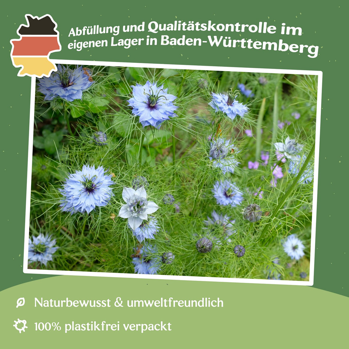MHD 06/26 Echter Schwarzkümmel Samen, Nigella sativa