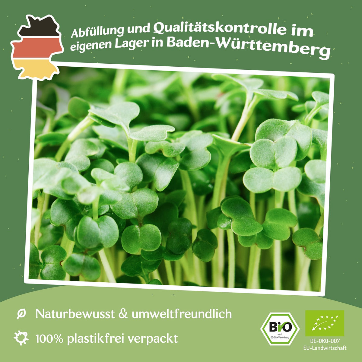 Microgreen Samen Bio-Brokkoli Raab