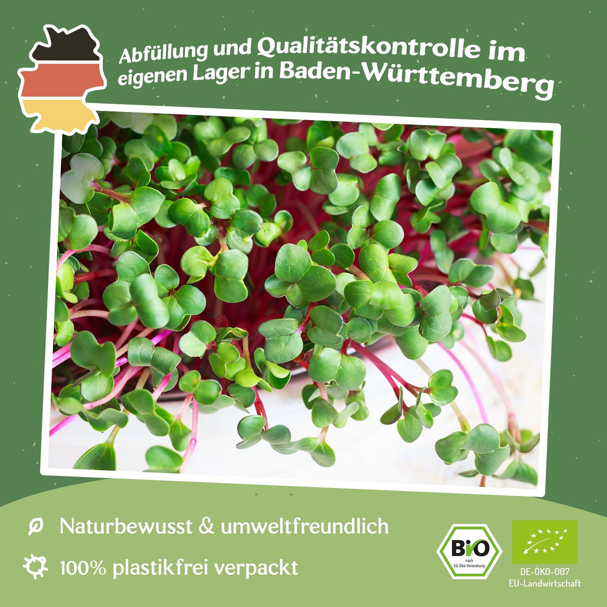 Microgreen Samen Bio-Radies Rota