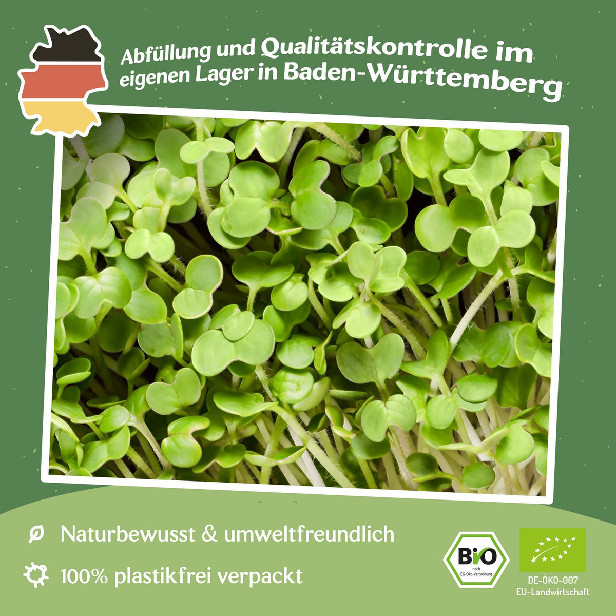 Microgreen Samen Senf Mostard