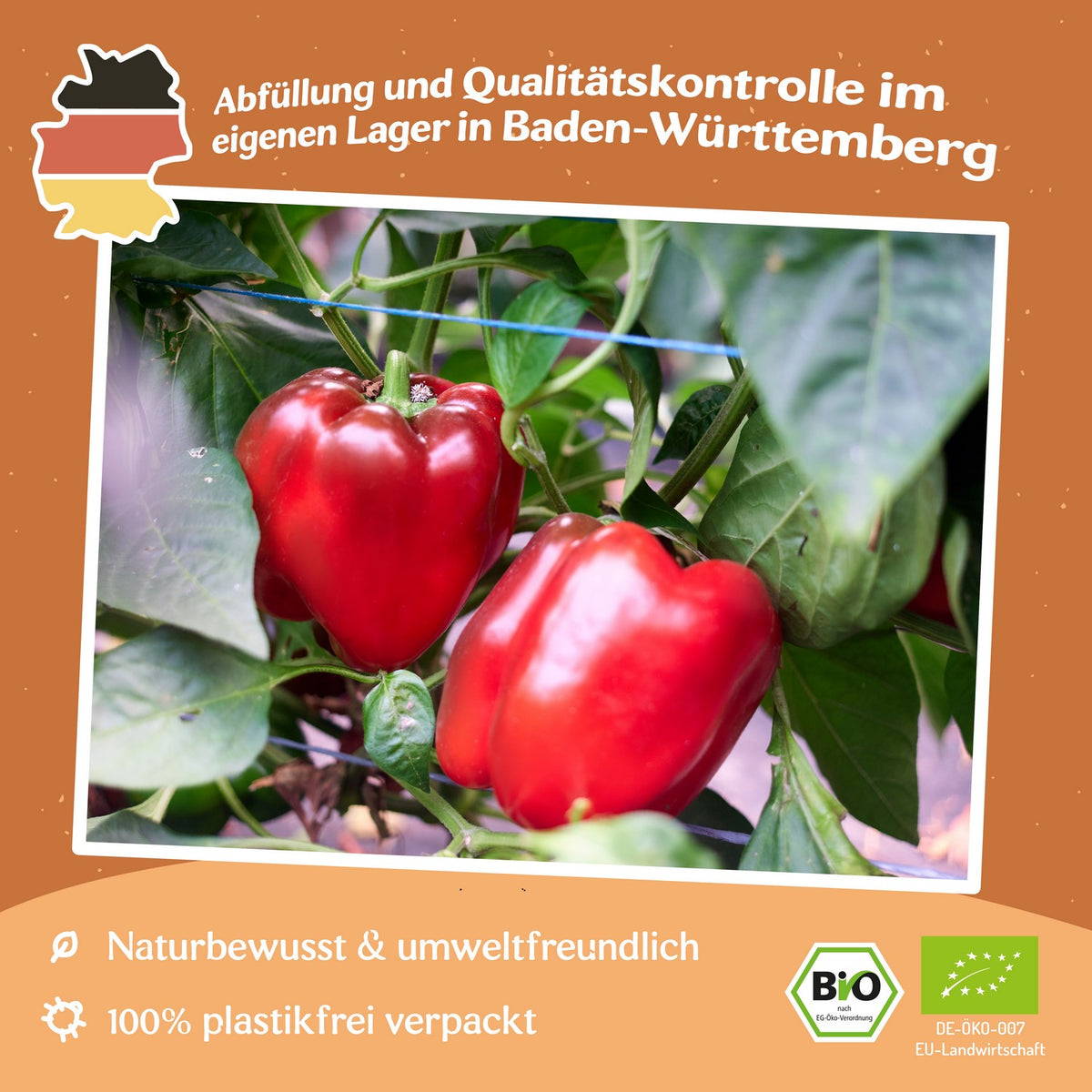 Bio-Paprika California Wonder Samen