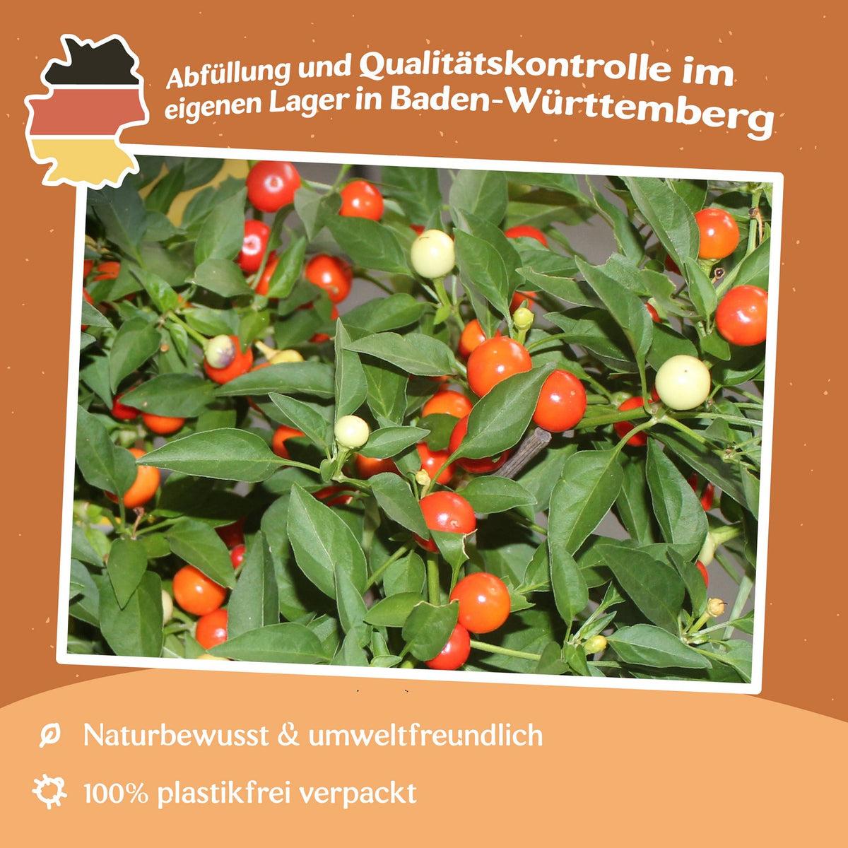 MHD 06/26 Chili Emma Samen