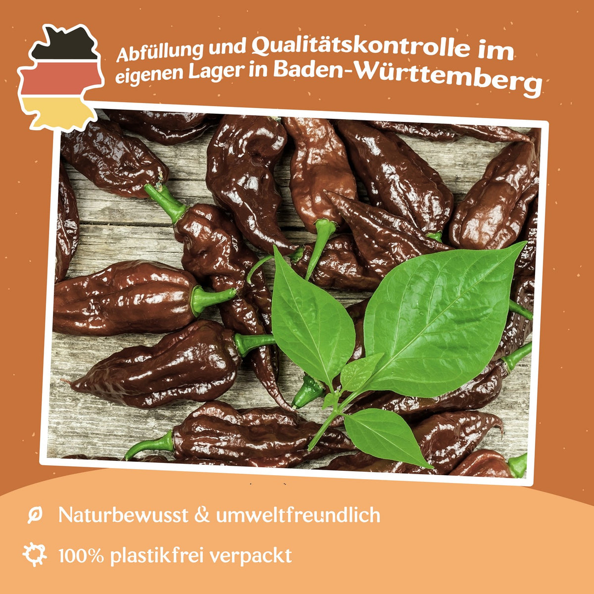 Chili Naga Black Samen