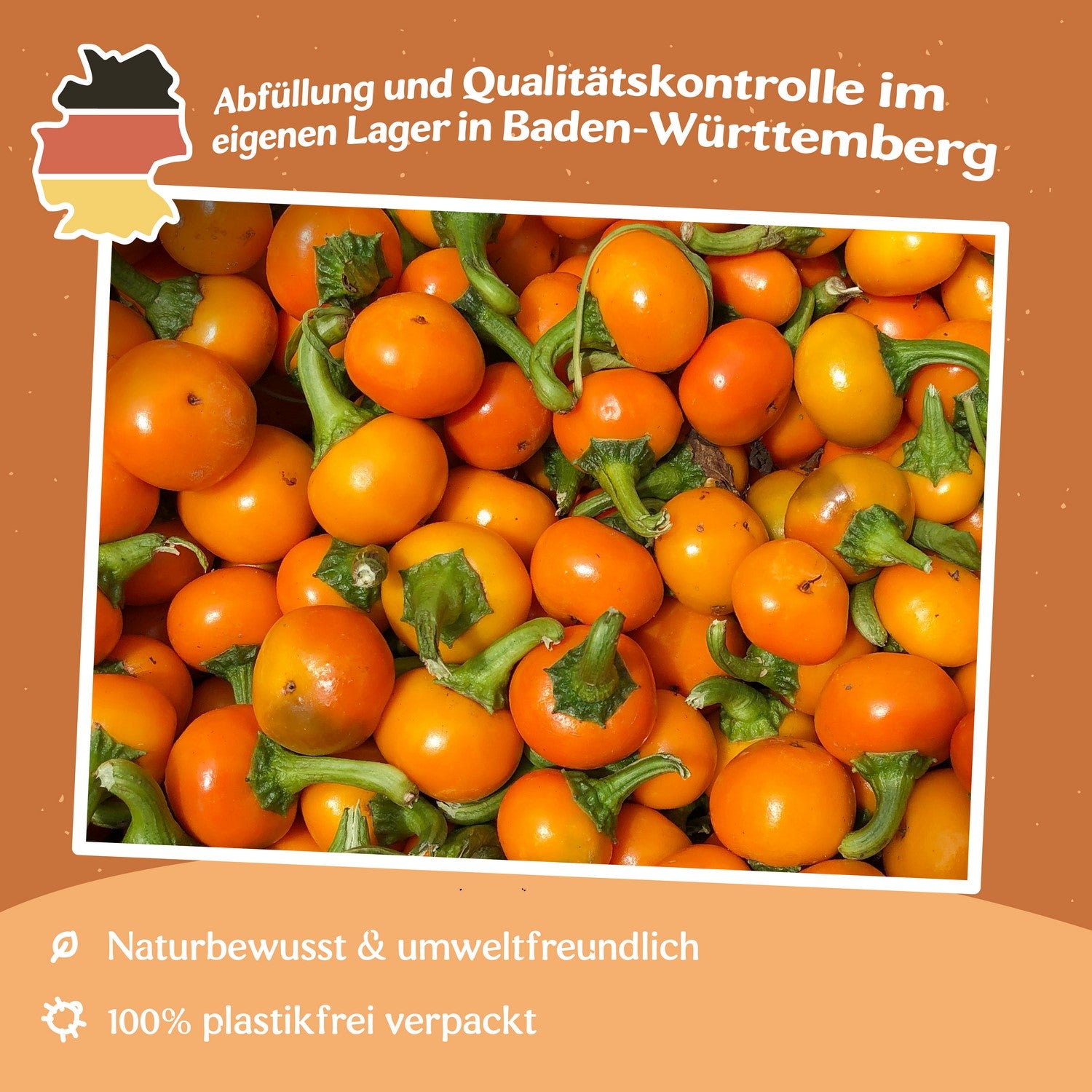 Vilma Tomatensamen