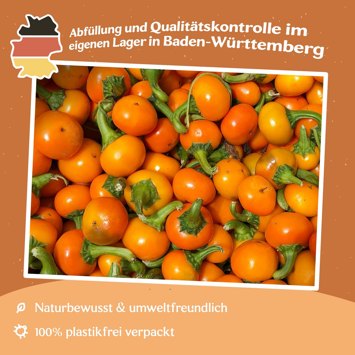 Chili Orange Koral Samen