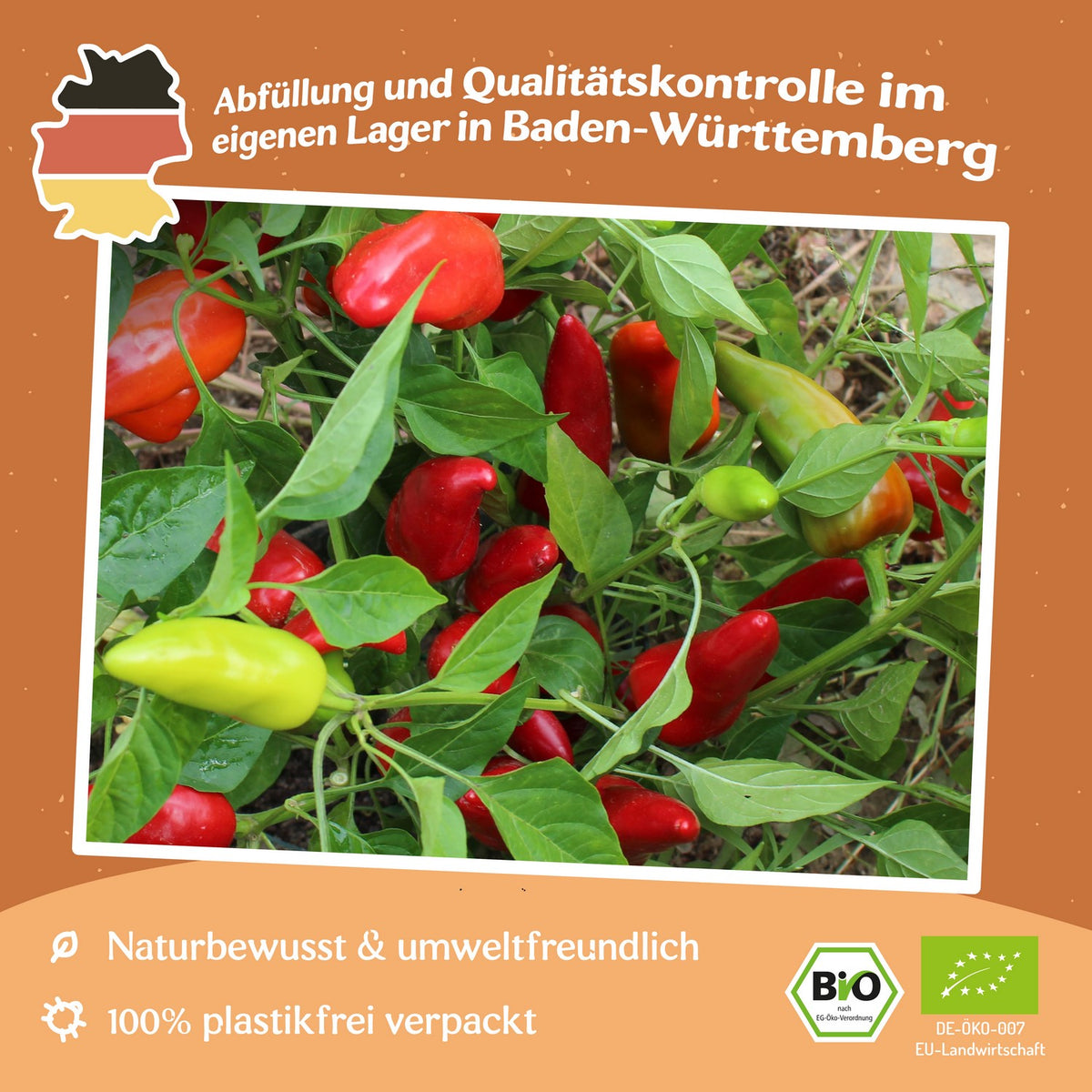 Bio-Paprika Poromeo Samen