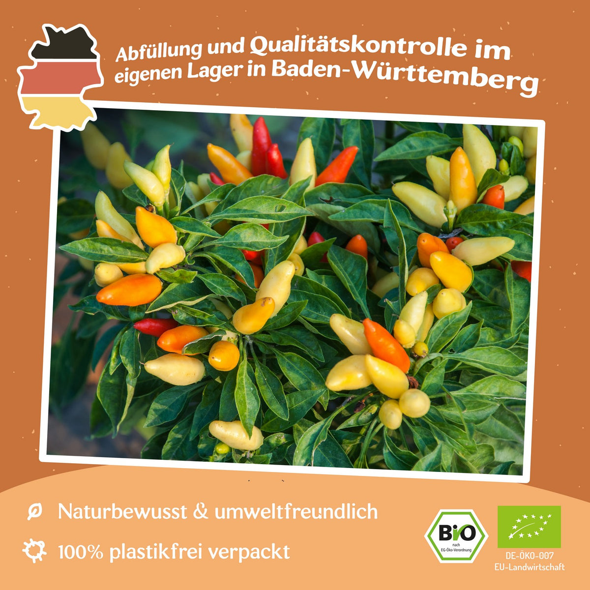 Bio-Chili Prairie Fire Samen