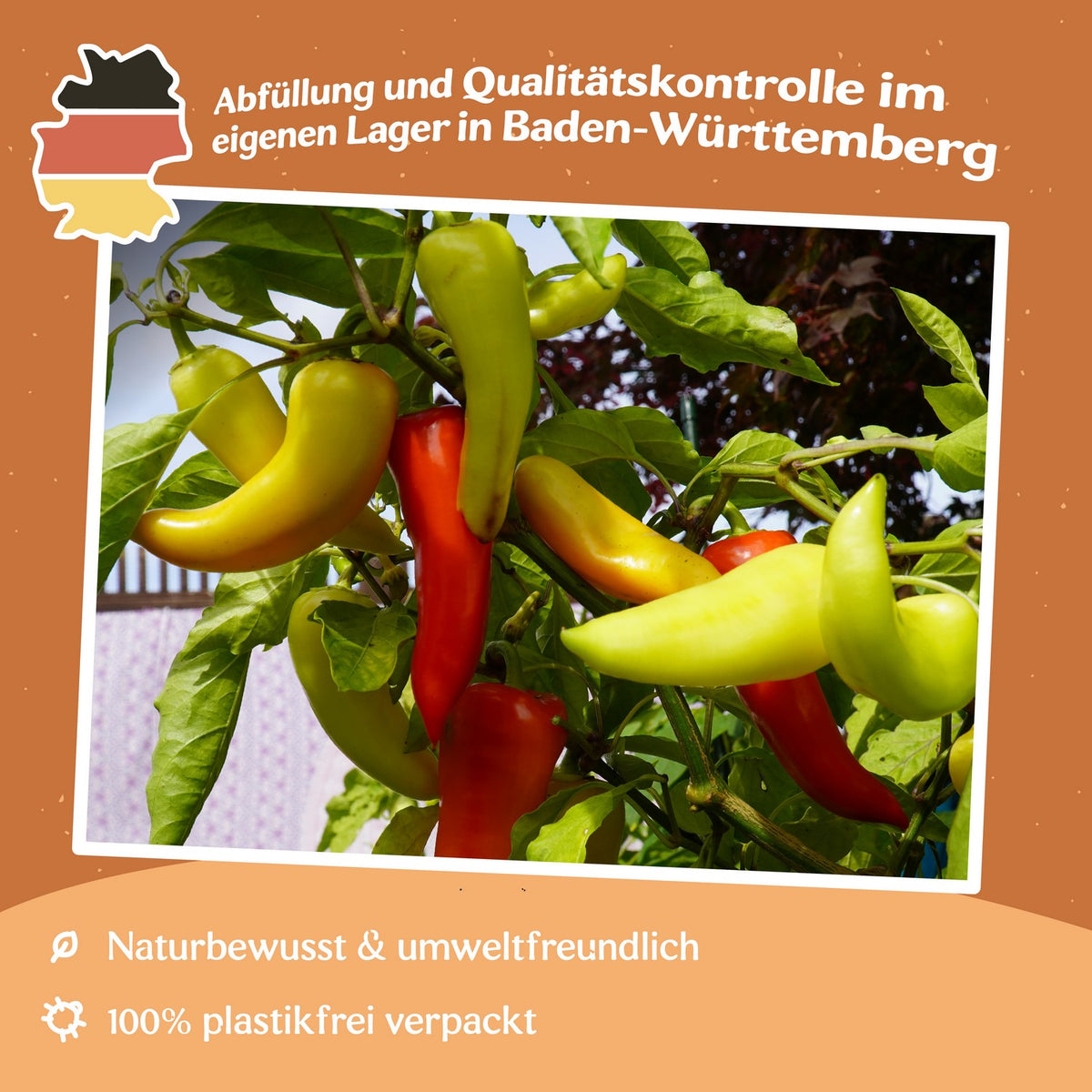 MHD 06/26 Paprika Sweet Banana Samen