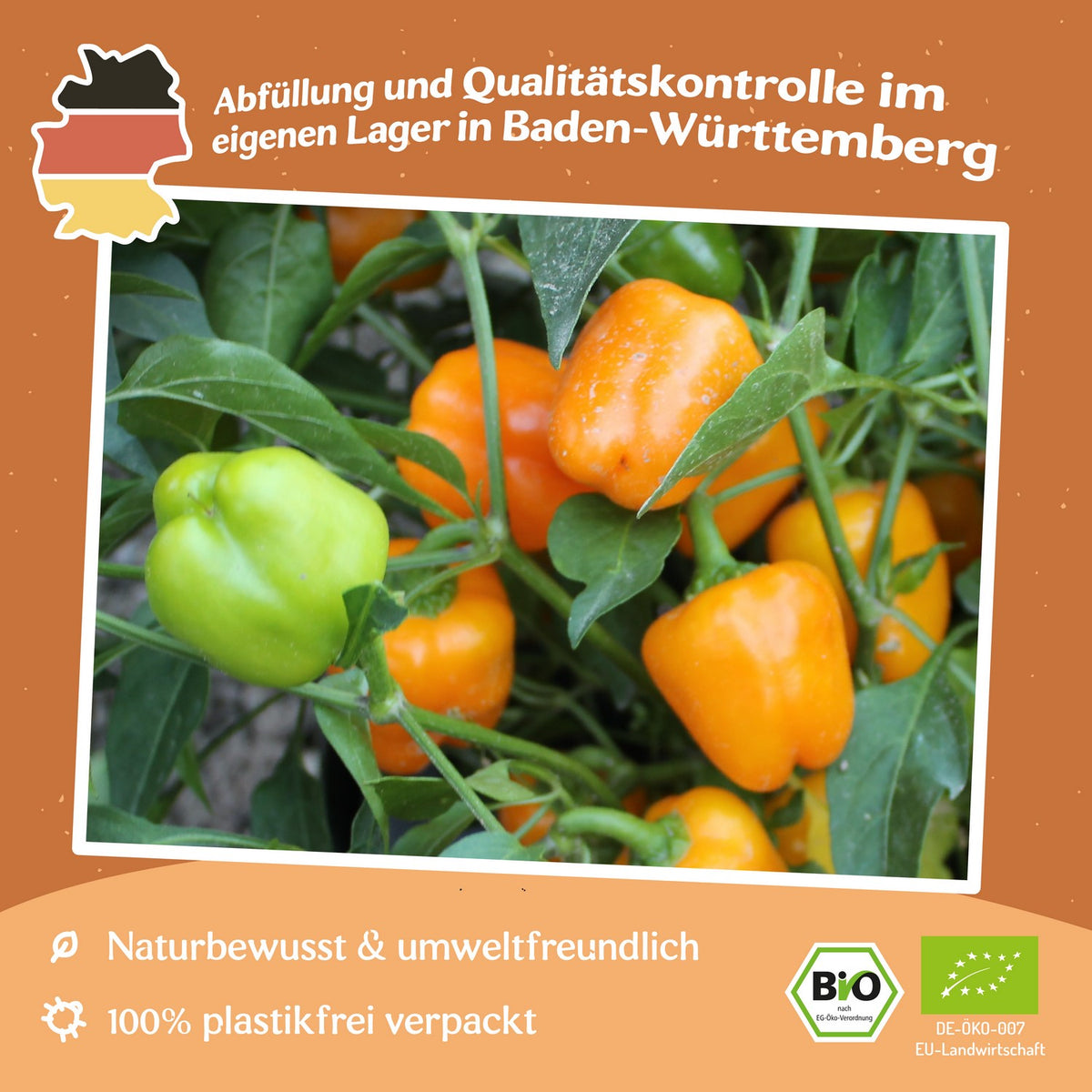 Bio-Paprika Sweet Julie Samen