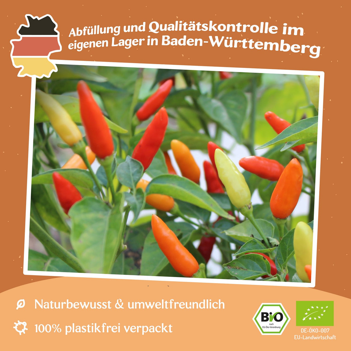 Bio-Chili Tabasco Samen