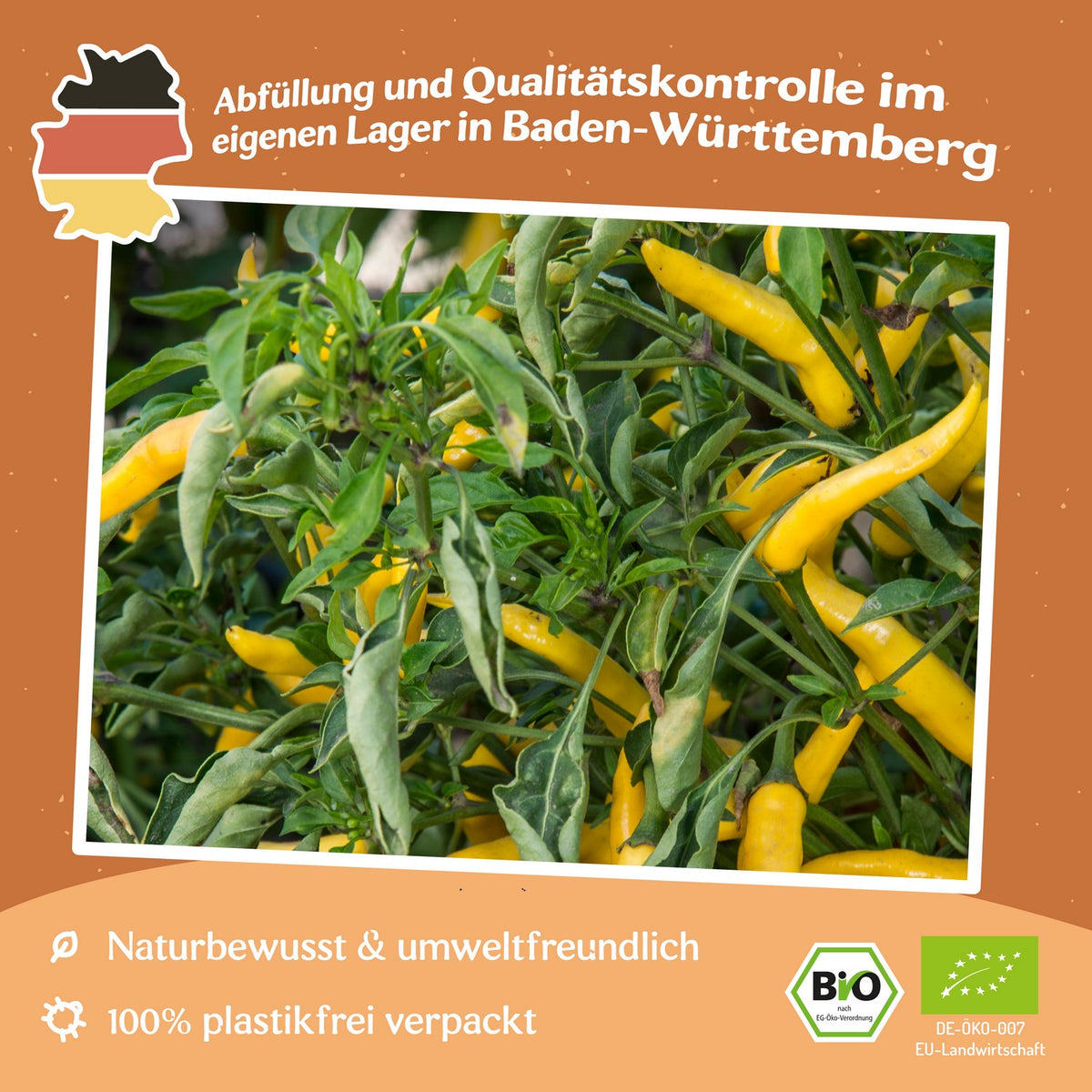 Bio-Chili Spika Zitronen Samen