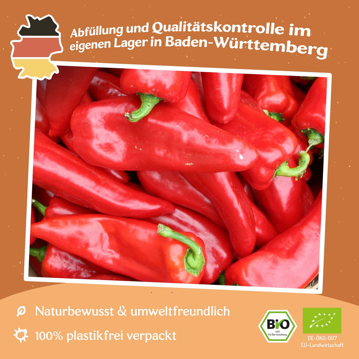 Bio-Paprika Roter Augsburger Samen