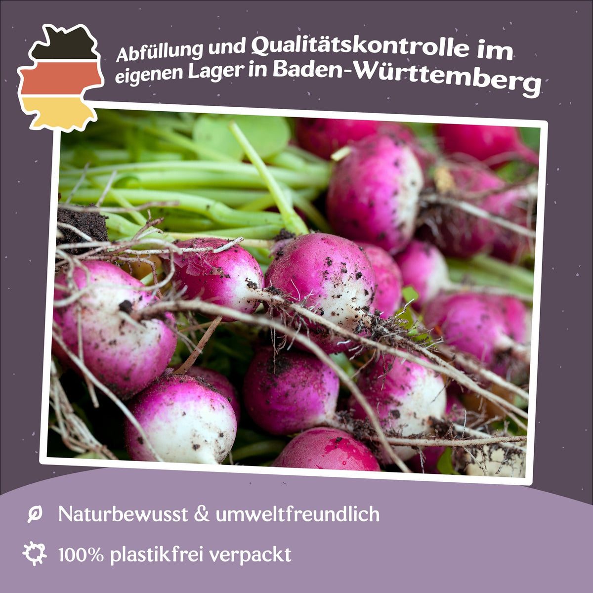 Radieschen Diana Samen