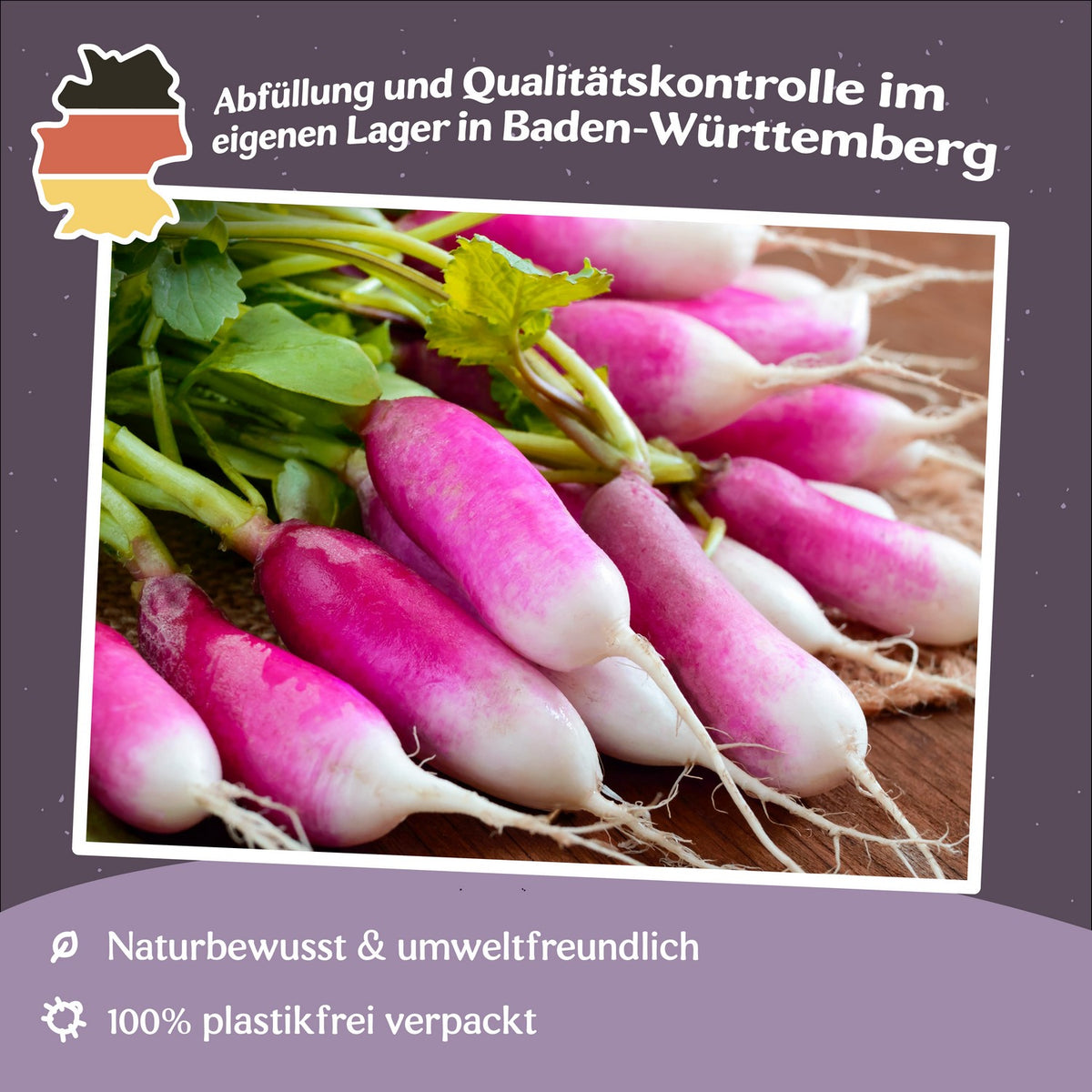 Radieschen Felicia Samen