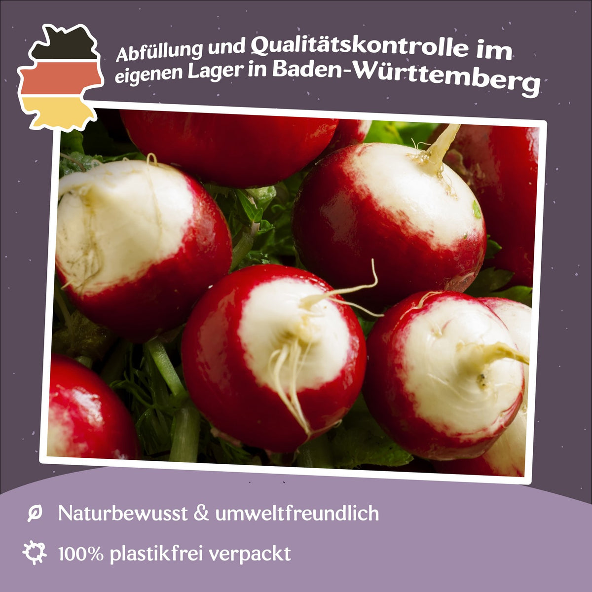 Radieschen Poloneza Samen