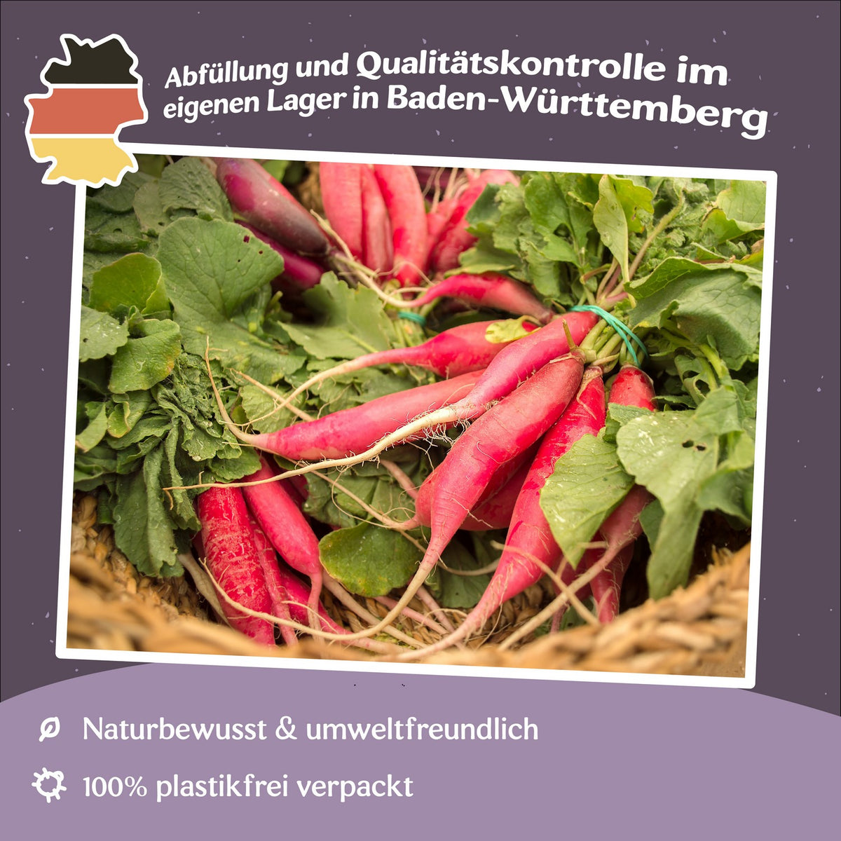 MHD 06/26 Radieschen Long Scarlet