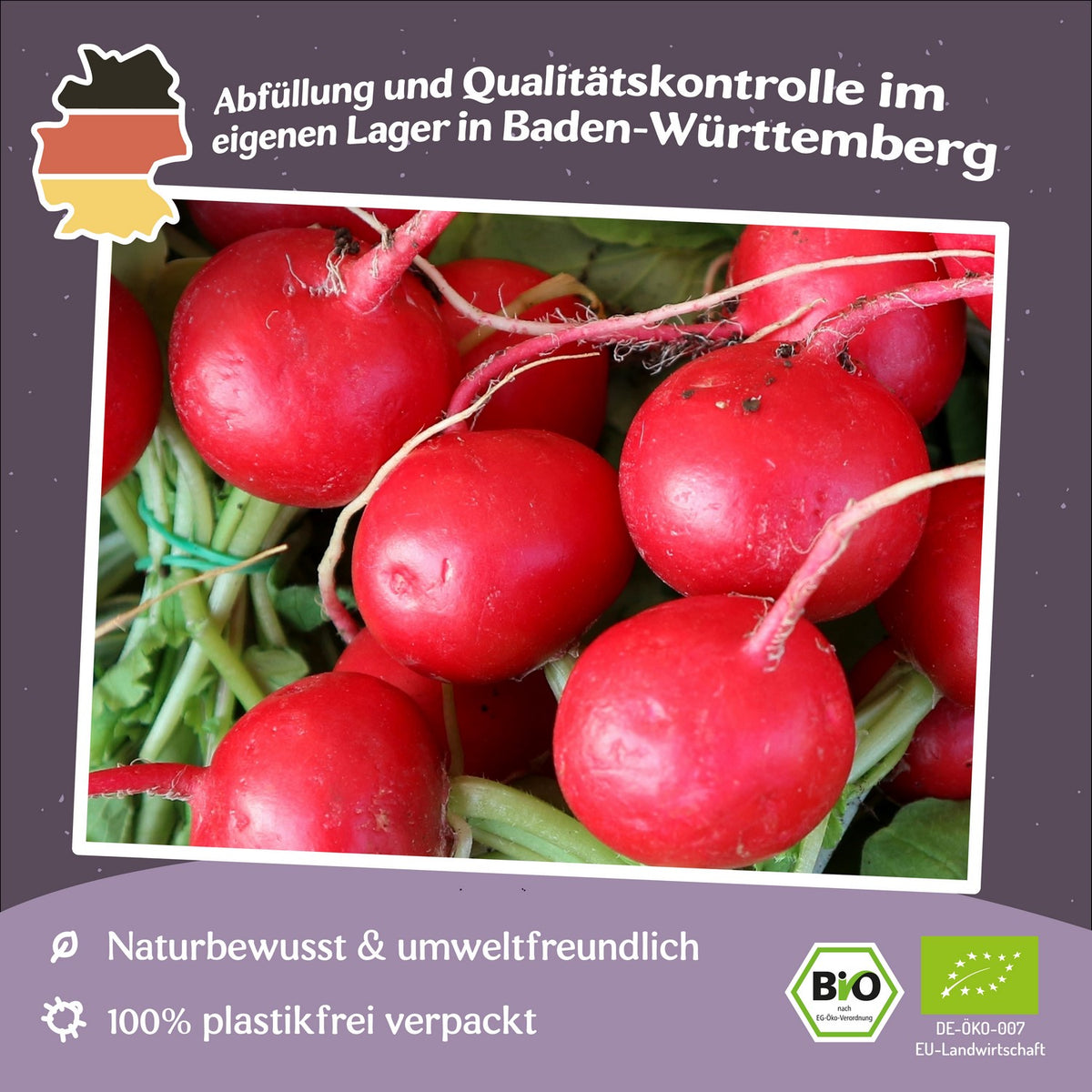 Bio-Radieschen Saxa 2 Samen