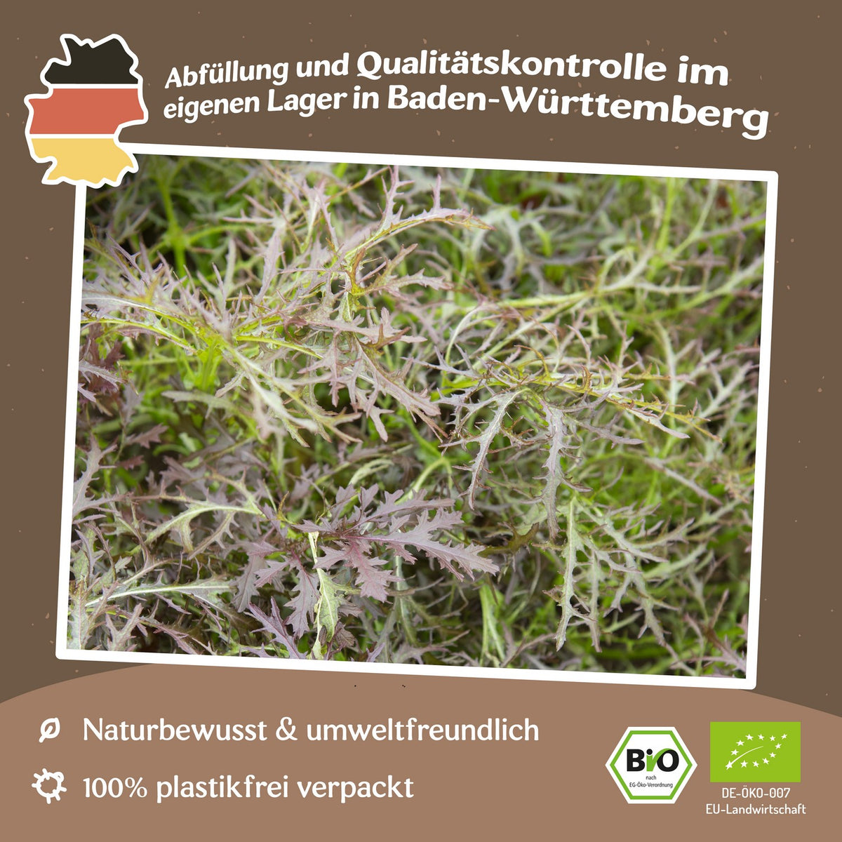 Bio-Blattsenf Purple Frills Samen