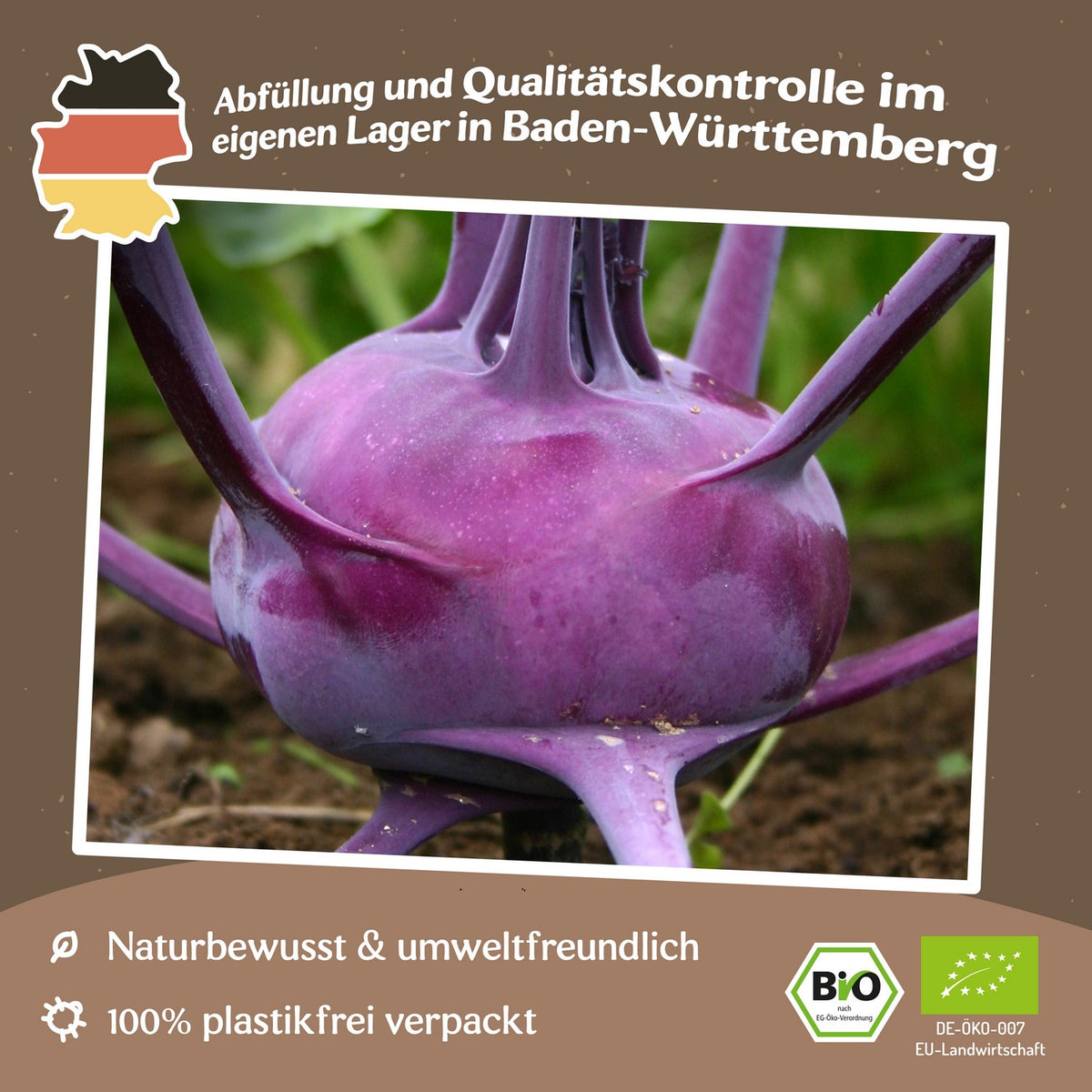 Bio-Kohlrabi Purple Vienna Samen