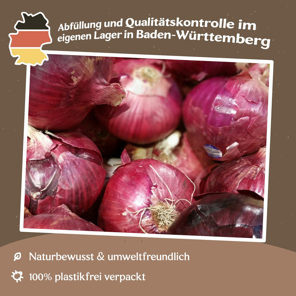 Zwiebel Braunschweiger Samen