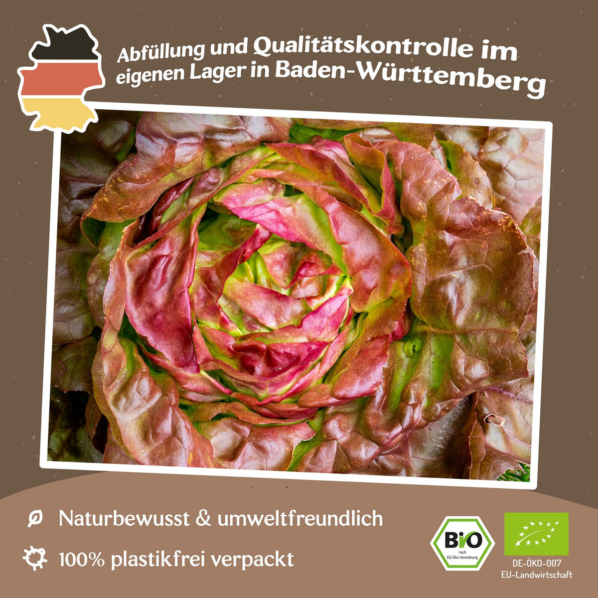 Bio-Kopfsalat Wunder der vier Jahreszeiten Samen