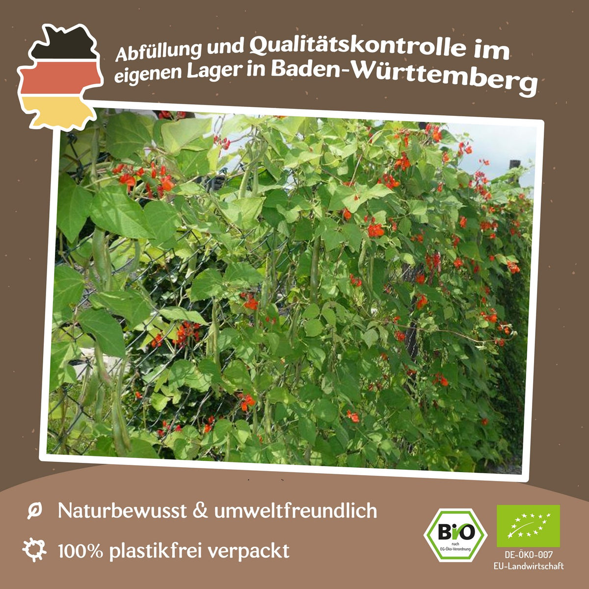 Bio-Feuerbohne Scarlet Emperor Samen